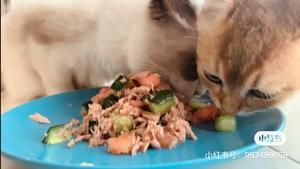 宠物猫饭吞拿鱼蔬菜饭的做法 步骤7