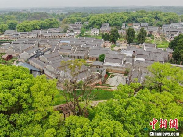 图为航拍江西吉安钓源古村，古树葱茏，古建成群。　刘力鑫 摄