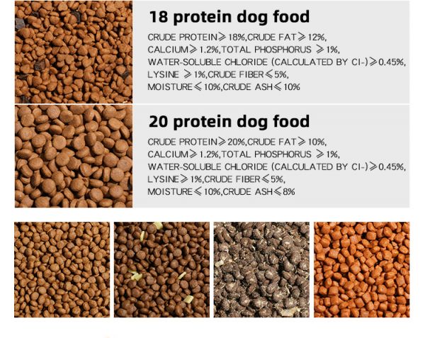 High Protein Balanced Nutrition Sensitive Skin Stomach Adult Chicken Rice Formula Digestive Health Dry Dog Food