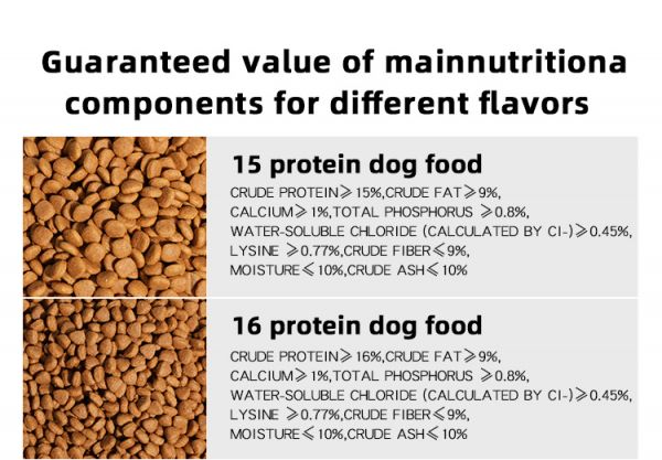 High Protein Balanced Nutrition Sensitive Skin Stomach Adult Chicken Rice Formula Digestive Health Dry Dog Food