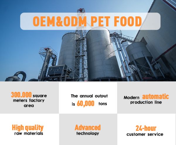 High Protein Balanced Nutrition Sensitive Skin Stomach Adult Chicken Rice Formula Digestive Health Dry Dog Food