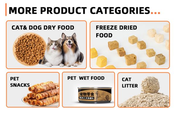 High Protein Balanced Nutrition Sensitive Skin Stomach Adult Chicken Rice Formula Digestive Health Dry Dog Food