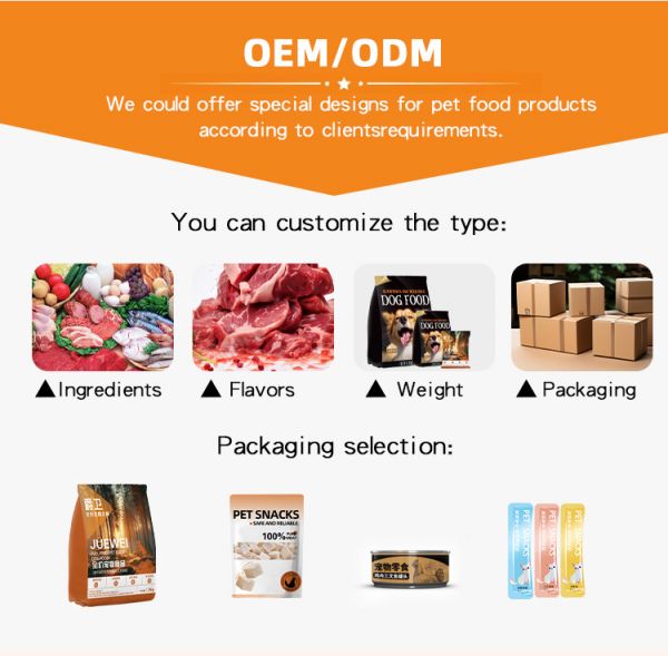 High Protein Balanced Nutrition Sensitive Skin Stomach Adult Chicken Rice Formula Digestive Health Dry Dog Food