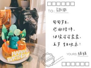 自制宠物狗狗生日蛋糕的做法步骤图 第9张