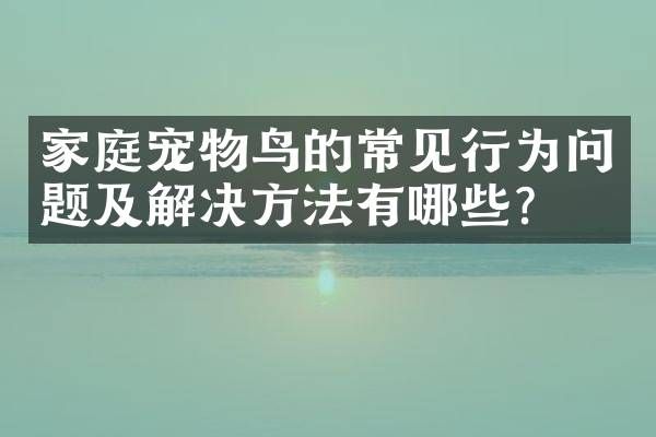 家庭宠物鸟的常见行为问题及解决方法有哪些？