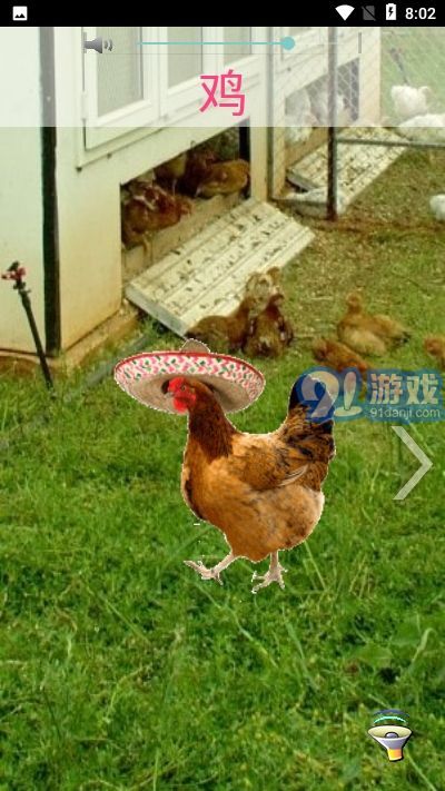 3D丛林之旅