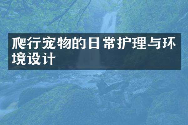 爬行宠物的日常护理与环境设计