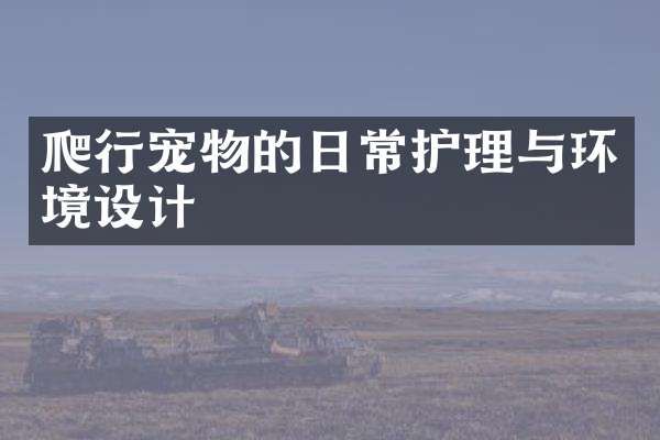 爬行宠物的日常护理与环境设计