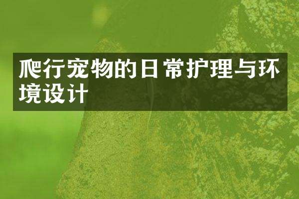 爬行宠物的日常护理与环境设计