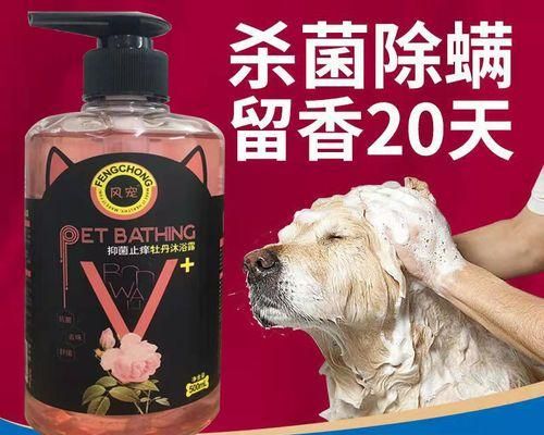 狗狗洗澡洗不干净怎么办？有效清洁技巧大揭秘