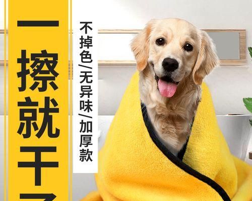 如何为宠物狗做好洗澡前的检查？（掌握检查技巧，让狗狗洗澡更安全）