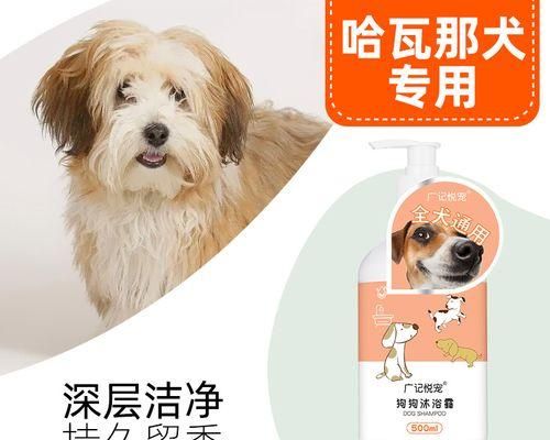 能否使用人用沐浴露给宠物洗澡（以狗狗为例）