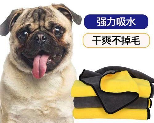 狗洗澡不吹干的危害（宠物洗澡需要注意的事项）