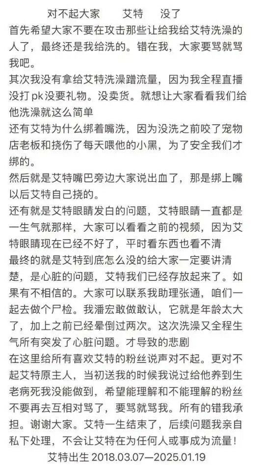 潘宏道歉:网红狗“艾特”洗澡意外去世引发热议