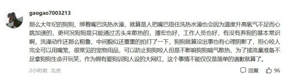 潘宏道歉:网红狗“艾特”洗澡意外去世引发热议