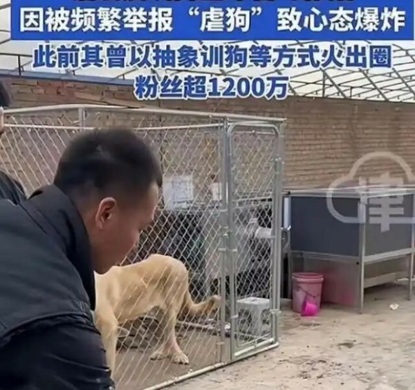 潘宏道歉:网红狗“艾特”洗澡意外去世引发热议
