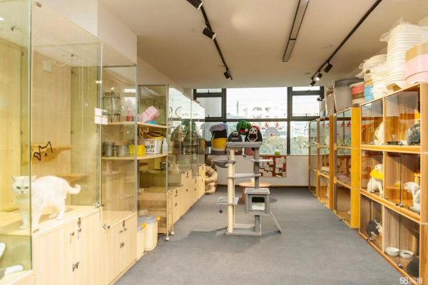 喵享家宠物店 各类猫狗现货 可送货 自提 宠物护理寄养 宠物
