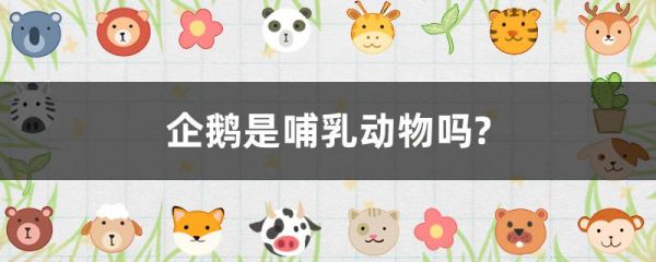 企鹅是哺乳动物吗?