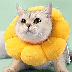 Huan Chong 欢宠网 伊丽莎白圈猫狗宠物狗狗猫咪头套项圈颈脖圈防舔咬脖套耻辱圈伊利沙白猫圈绝育用品 M