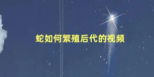 蛇如何繁殖后代的视频