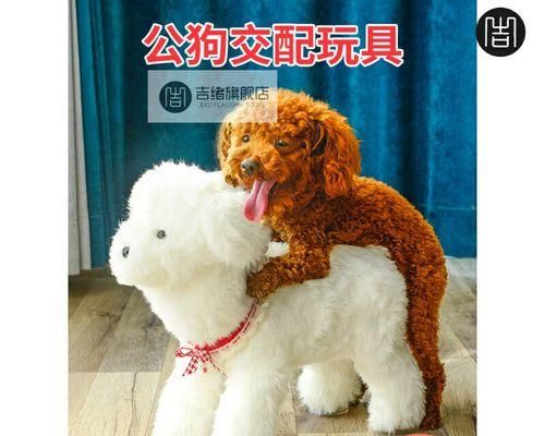 狗狗配种须知（宠物主人需注意的事项）