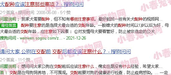 狗狗配种注意哪些事项