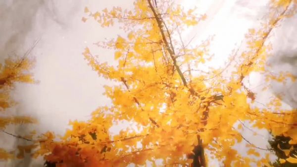 我的家乡长葛乡下美景