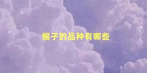 猴子的品种有哪些