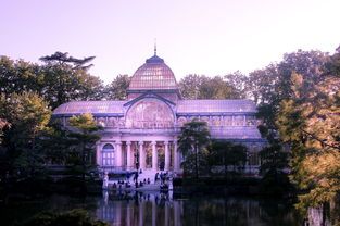 户外萌宠乐园建设方案模板