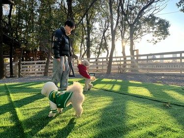我的狗狗开心上学啦