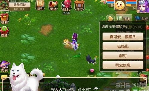 “萌宠秘籍:寻宝宠物圈,养宠达人集结令”