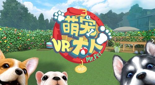 “萌宠秘籍:寻宝宠物圈,养宠达人集结令”
