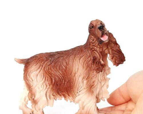 科学喂养可卡犬，让它健康快乐成长（可卡犬的营养需求和喂食技巧）