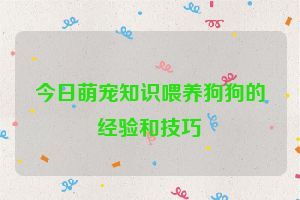 今日萌宠知识喂养狗狗的经验和技巧