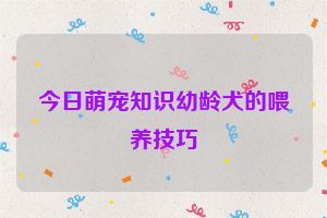 今日萌宠知识幼龄犬的喂养技巧
