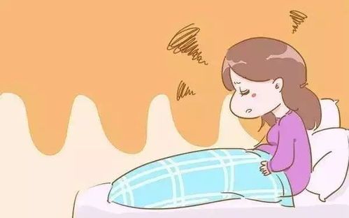 宠物产后快速补钙攻略