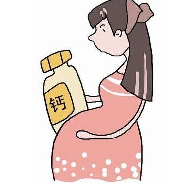宠物产后快速补钙攻略