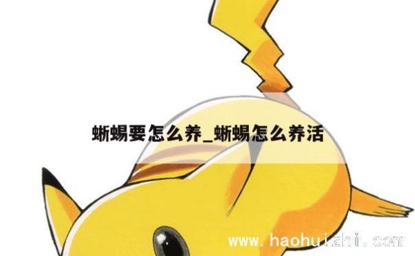 蜥蜴要怎么养_蜥蜴怎么养活 第1张