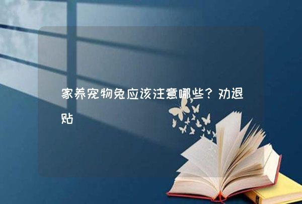 家养宠物兔应该注意哪些？劝退贴,第1张