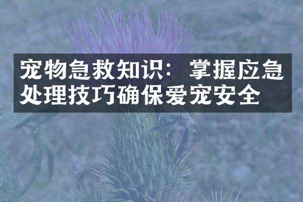 宠物急救知识：掌握应急处理技巧确保爱宠安全