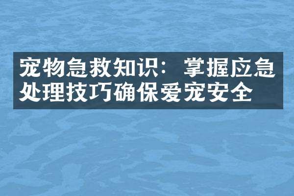 宠物急救知识：掌握应急处理技巧确保爱宠安全