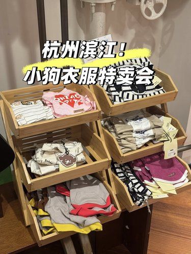 狗狗服装特卖会❗️低至15元☝️
