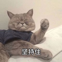 可爱宠物便便鱼，萌态十足！