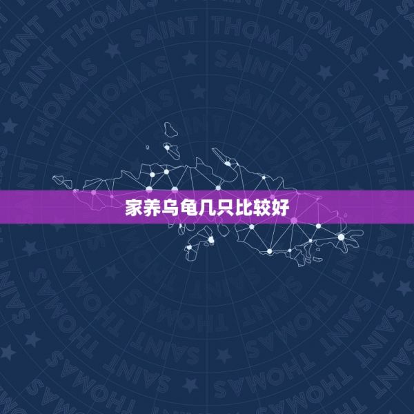 家养乌龟几只比较好，家里养乌龟一般养几只 第1张