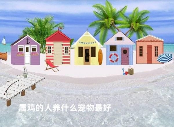 属鸡的人养什么宠物最好