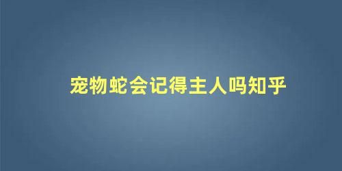 宠物蛇会记得主人吗知乎