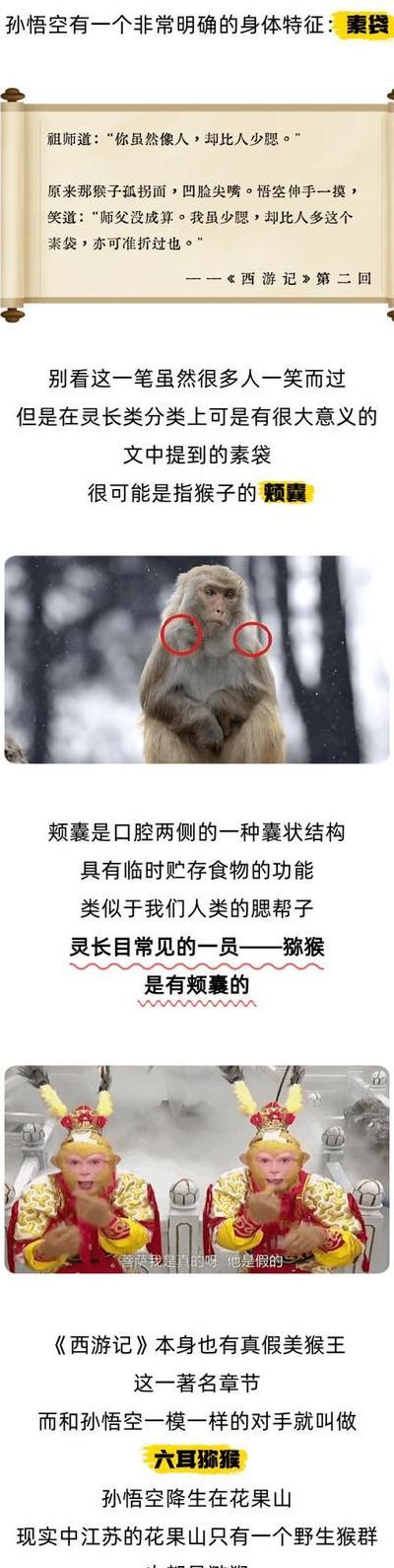 养猴子当宠物后悔了的简单介绍