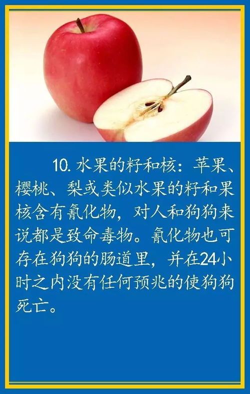 宠物饮食,严防食物禁忌