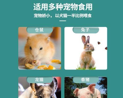 猫咪可以吃什么有营养？如何为宠物猫选择健康食物？