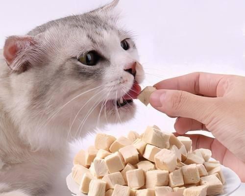 宠物小猫吃了一点盐，该怎么办（小心宠物饮食）